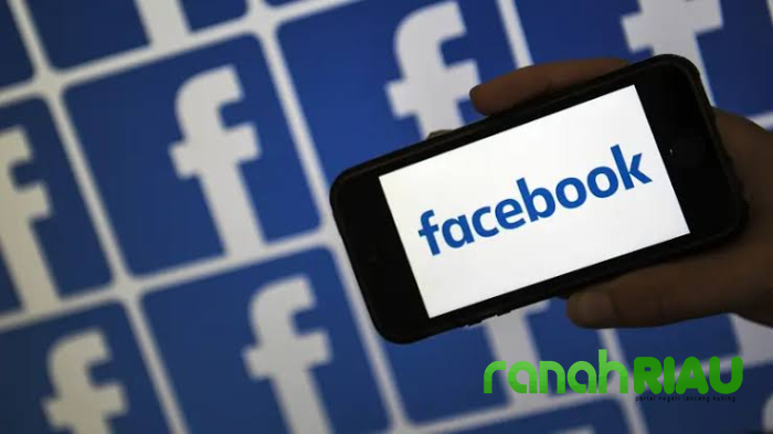 Ketemu Kutu di Oktober 2024, Pemuda ini dapat penghargaan dari Meta